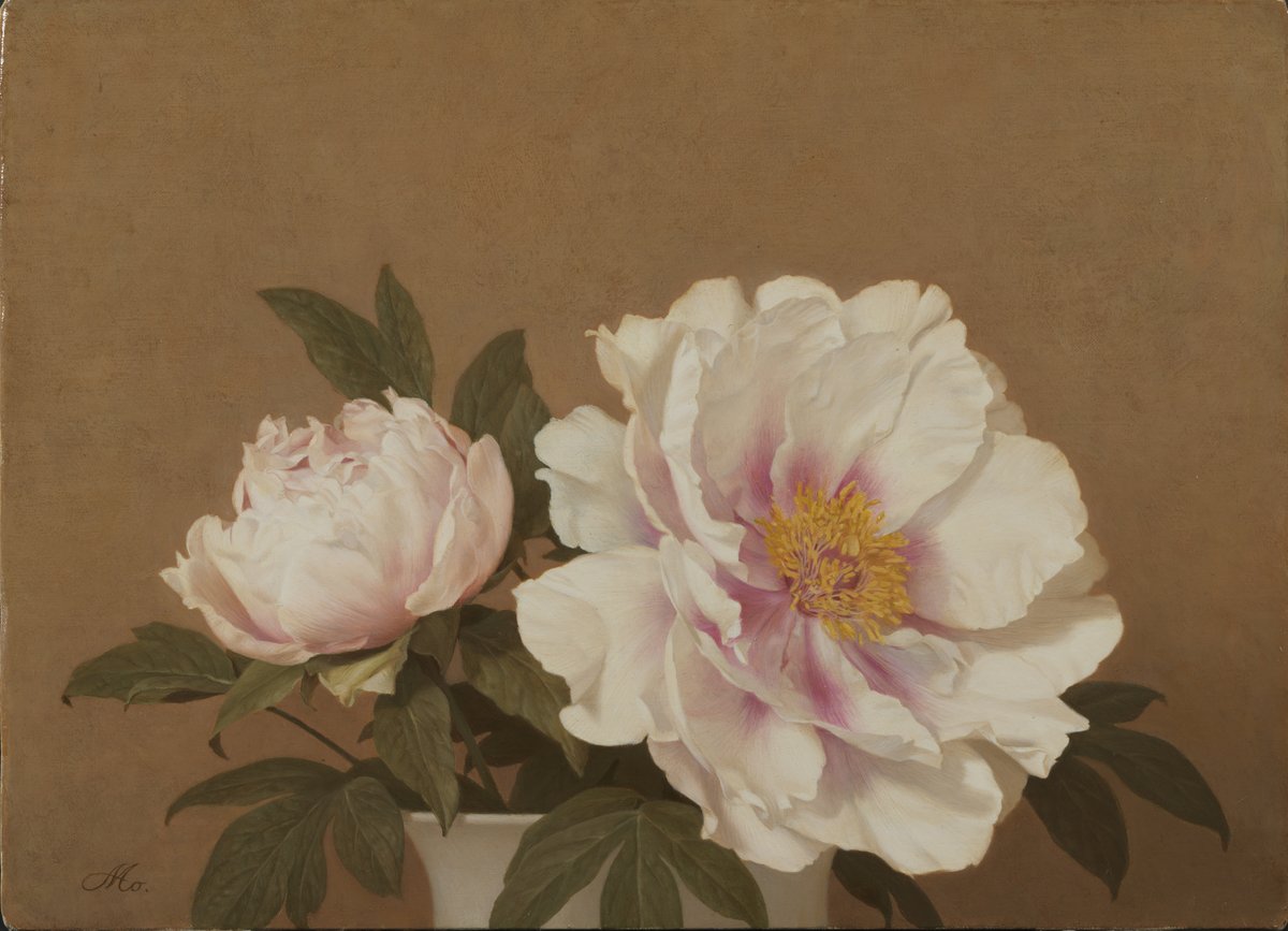 森本草介《牡丹》